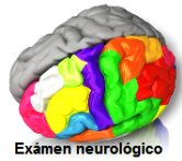Examen Neurologico
