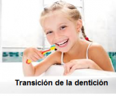 Transición de la dentición
